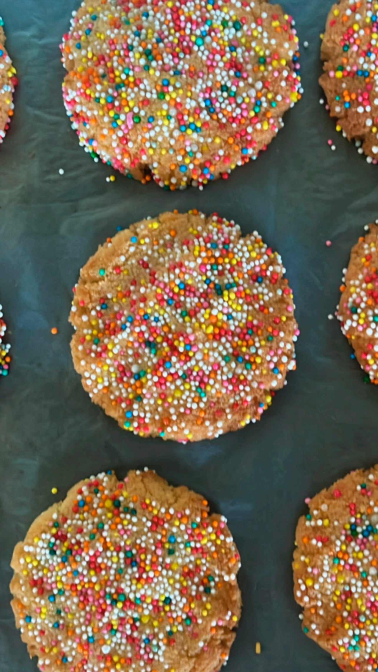 Keto Co. Cookie Bar